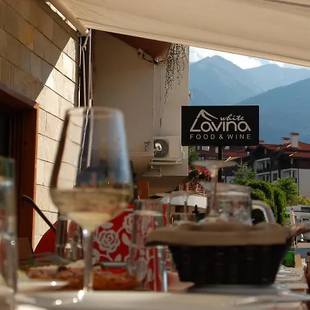 White Lavina - Ski, Bike, Hike Banszko