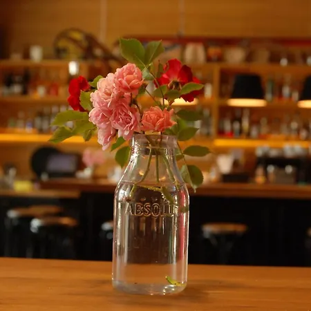 White Lavina - Ski, Bike, Hike 4* Banszko