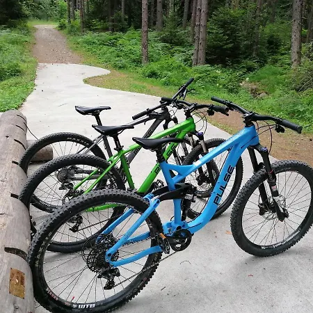 White Lavina - Ski, Bike, Hike