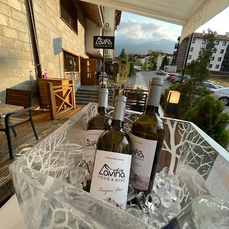 Apartmanhotel White Lavina - Ski, Bike, Hike Banszko